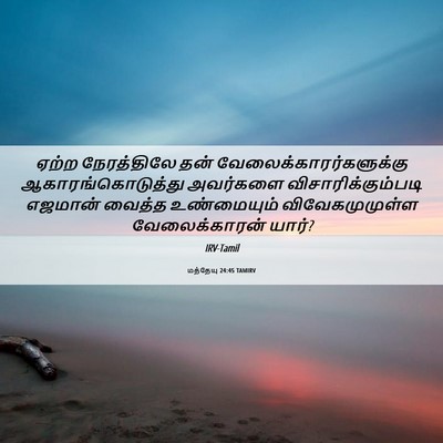 Picture 06 - மத்தேயு 24:45 TAMIRV - ஏற்ற நேரத்திலே - Bible Verse Picture