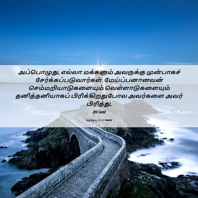 Picture 06 - மத்தேயு 25:32 TAMIRV - அப்பொழுது, எல்லா - Bible Verse Picture