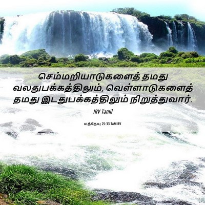 Picture 06 - மத்தேயு 25:33 TAMIRV - செம்மறியாடுகளைத் - Bible Verse Picture