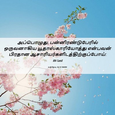 Picture 06 - மத்தேயு 26:14 TAMIRV - அப்பொழுது, - Bible Verse Picture
