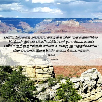 Picture 06 - மத்தேயு 26:17 TAMIRV - புளிப்பில்லாத - Bible Verse Picture