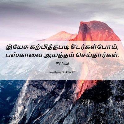 Picture 06 - மத்தேயு 26:19 TAMIRV - இயேசு கற்பித்தபடி - Bible Verse Picture