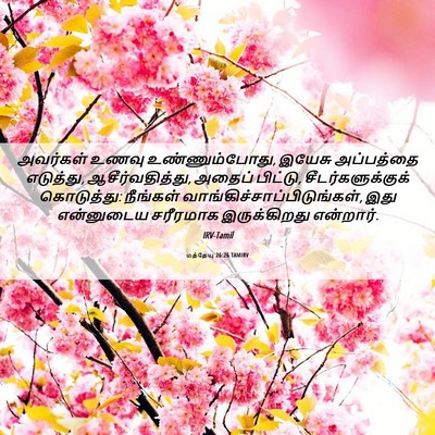 Picture 06 - மத்தேயு 26:26 TAMIRV - அவர்கள் உணவு - Bible Verse Picture