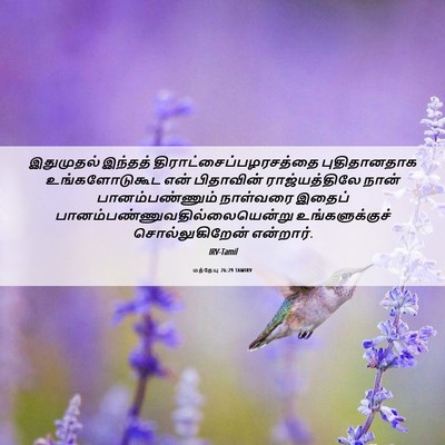 Picture 06 - மத்தேயு 26:29 TAMIRV - இதுமுதல் இந்தத் - Bible Verse Picture