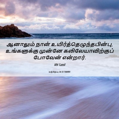 Picture 06 - மத்தேயு 26:32 TAMIRV - ஆனாலும் நான் - Bible Verse Picture