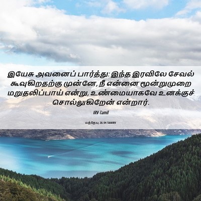 Picture 06 - மத்தேயு 26:34 TAMIRV - இயேசு அவனைப் - Bible Verse Picture