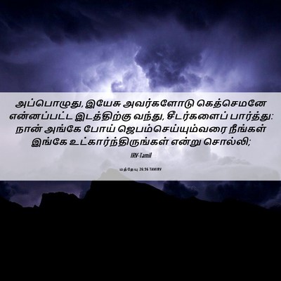 Picture 06 - மத்தேயு 26:36 TAMIRV - அப்பொழுது, இயேசு - Bible Verse Picture
