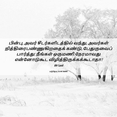 Picture 06 - மத்தேயு 26:40 TAMIRV - பின்பு, அவர் - Bible Verse Picture