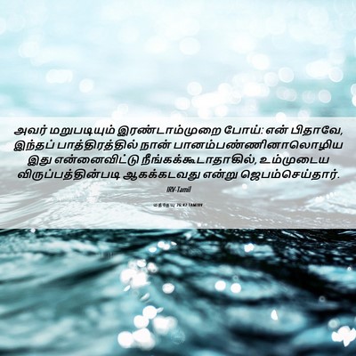 Picture 06 - மத்தேயு 26:42 TAMIRV - அவர் மறுபடியும் - Bible Verse Picture