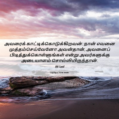 Picture 06 - மத்தேயு 26:48 TAMIRV - அவரைக் - Bible Verse Picture