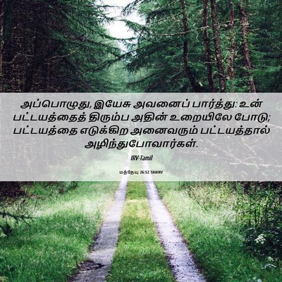 Picture 06 - மத்தேயு 26:52 TAMIRV - அப்பொழுது, இயேசு - Bible Verse Picture