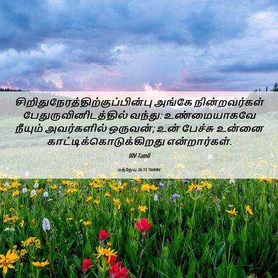 Picture 06 - மத்தேயு 26:73 TAMIRV -  - Bible Verse Picture