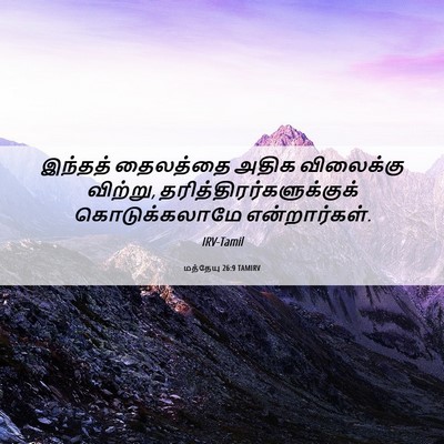 Picture 06 - மத்தேயு 26:9 TAMIRV - இந்தத் தைலத்தை - Bible Verse Picture