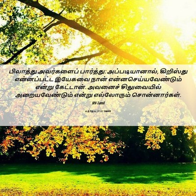 Picture 06 - மத்தேயு 27:22 TAMIRV - பிலாத்து - Bible Verse Picture