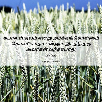 Picture 06 - மத்தேயு 27:33 TAMIRV - கபாலஸ்தலம் என்று - Bible Verse Picture