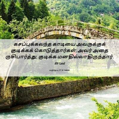 Picture 06 - மத்தேயு 27:34 TAMIRV - கசப்புக்கலந்த - Bible Verse Picture