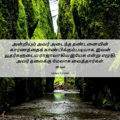 Picture 06 - மத்தேயு 27:37 TAMIRV - அன்றியும் அவர் - Bible Verse Picture