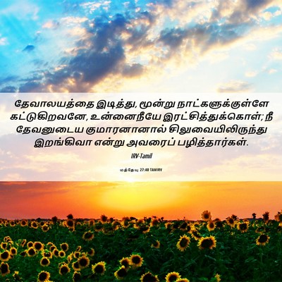 Picture 06 - மத்தேயு 27:40 TAMIRV - தேவாலயத்தை - Bible Verse Picture