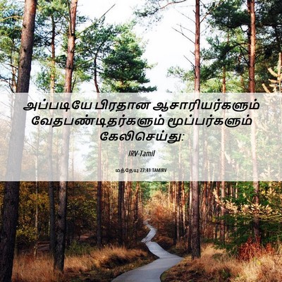 Picture 06 - மத்தேயு 27:41 TAMIRV - அப்படியே பிரதான - Bible Verse Picture
