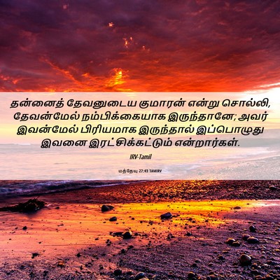 Picture 06 - மத்தேயு 27:43 TAMIRV - தன்னைத் தேவனுடைய - Bible Verse Picture