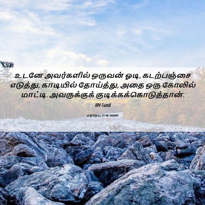 Picture 06 - மத்தேயு 27:48 TAMIRV - உடனே அவர்களில் - Bible Verse Picture