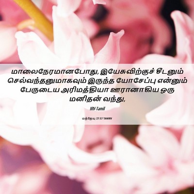 Picture 06 - மத்தேயு 27:57 TAMIRV - மாலைநேரமானபோது, - Bible Verse Picture