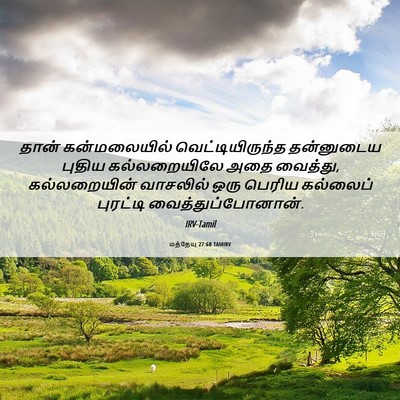 Picture 06 - மத்தேயு 27:60 TAMIRV - தான் கன்மலையில் - Bible Verse Picture