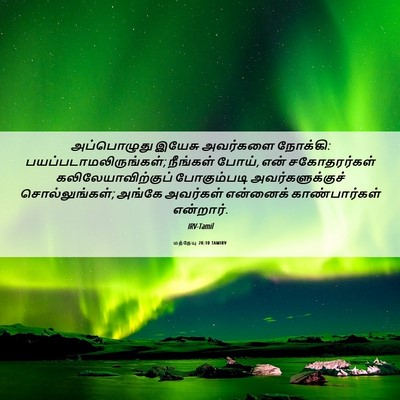 Picture 06 - மத்தேயு 28:10 TAMIRV - அப்பொழுது இயேசு - Bible Verse Picture