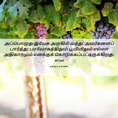Picture 06 - மத்தேயு 28:18 TAMIRV - அப்பொழுது இயேசு - Bible Verse Picture