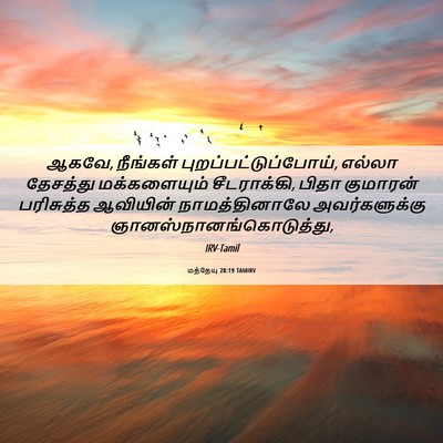 Picture 06 - மத்தேயு 28:19 TAMIRV - ஆகவே, நீங்கள் - Bible Verse Picture