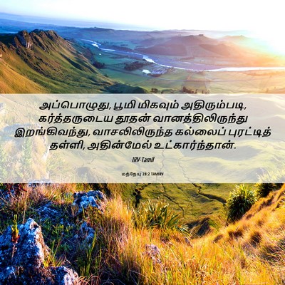 Picture 06 - மத்தேயு 28:2 TAMIRV - அப்பொழுது, பூமி - Bible Verse Picture