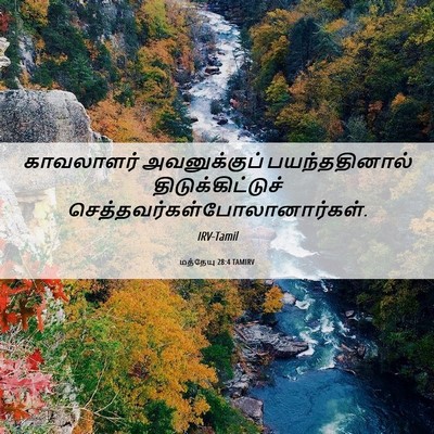 Picture 06 - மத்தேயு 28:4 TAMIRV - காவலாளர் - Bible Verse Picture