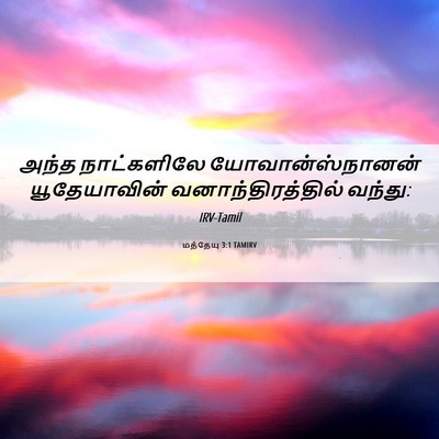Picture 06 - மத்தேயு 3:1 TAMIRV - அந்த நாட்களிலே - Bible Verse Picture