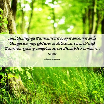 Picture 06 - மத்தேயு 3:13 TAMIRV - அப்பொழுது - Bible Verse Picture