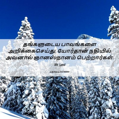Picture 06 - மத்தேயு 3:6 TAMIRV - தங்களுடைய - Bible Verse Picture