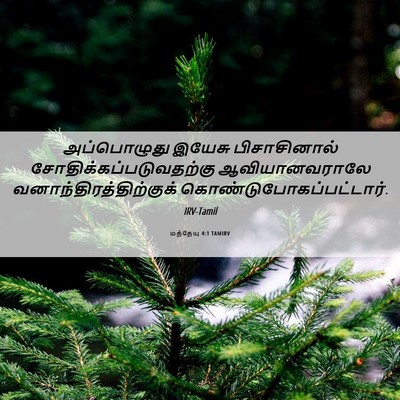 Picture 06 - மத்தேயு 4:1 TAMIRV - அப்பொழுது இயேசு - Bible Verse Picture