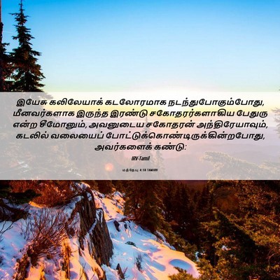 Picture 06 - மத்தேயு 4:18 TAMIRV - இயேசு கலிலேயாக் - Bible Verse Picture