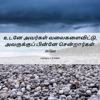 Picture 06 - மத்தேயு 4:20 TAMIRV - உடனே அவர்கள் - Bible Verse Picture