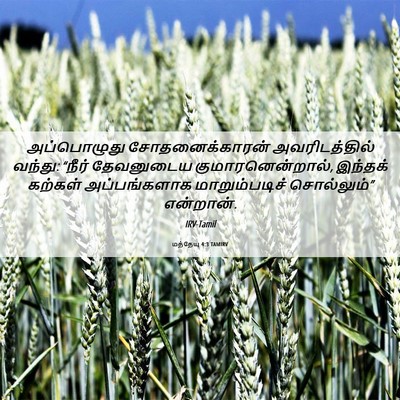 Picture 06 - மத்தேயு 4:3 TAMIRV - அப்பொழுது - Bible Verse Picture