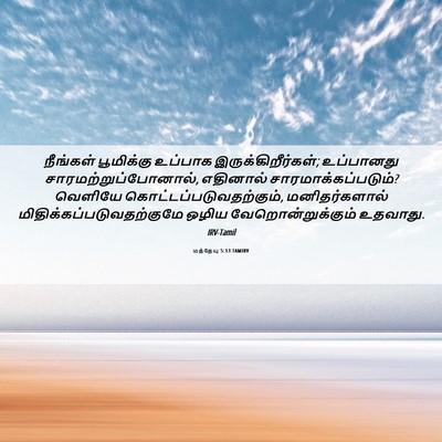 Picture 06 - மத்தேயு 5:13 TAMIRV - நீங்கள் பூமிக்கு - Bible Verse Picture