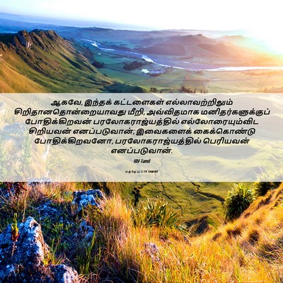 Picture 06 - மத்தேயு 5:19 TAMIRV - ஆகவே, இந்தக் - Bible Verse Picture