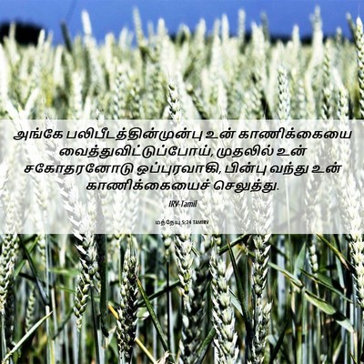 Picture 06 - மத்தேயு 5:24 TAMIRV - அங்கே - Bible Verse Picture