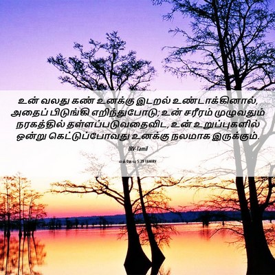 Picture 06 - மத்தேயு 5:29 TAMIRV - உன் வலது கண் - Bible Verse Picture