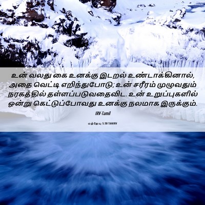 Picture 06 - மத்தேயு 5:30 TAMIRV - உன் வலது கை உனக்கு - Bible Verse Picture