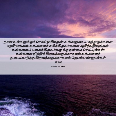 Picture 06 - மத்தேயு 5:44 TAMIRV - நான் உங்களுக்குச் - Bible Verse Picture