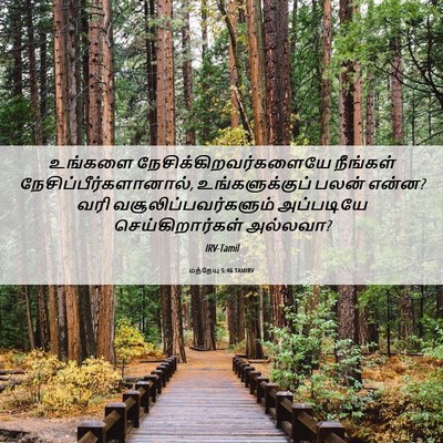Picture 06 - மத்தேயு 5:46 TAMIRV - உங்களை - Bible Verse Picture