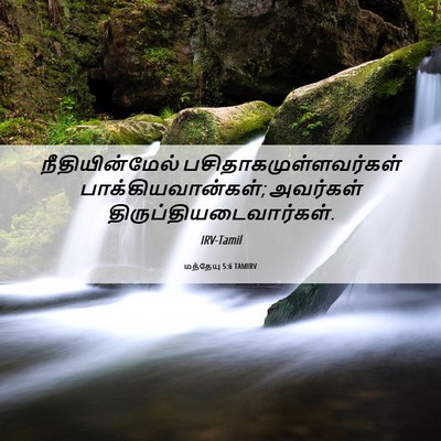 Picture 06 - மத்தேயு 5:6 TAMIRV - நீதியின்மேல் - Bible Verse Picture