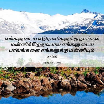 Picture 06 - மத்தேயு 6:12 TAMIRV - எங்களுடைய - Bible Verse Picture