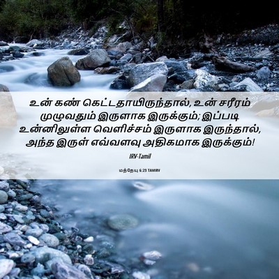 Picture 06 - மத்தேயு 6:23 TAMIRV - உன் கண் - Bible Verse Picture