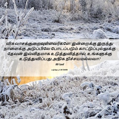 Picture 06 - மத்தேயு 6:30 TAMIRV -  - Bible Verse Picture